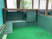 Our triage units, for the rehabilitation of pets