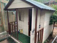 Our luxurious kitty cabana for up to 5 cats
