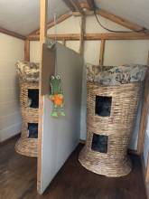 Inside our luxurious cabana for up to 5 cats