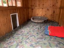 Inside the sleeping cabin for our dog runs